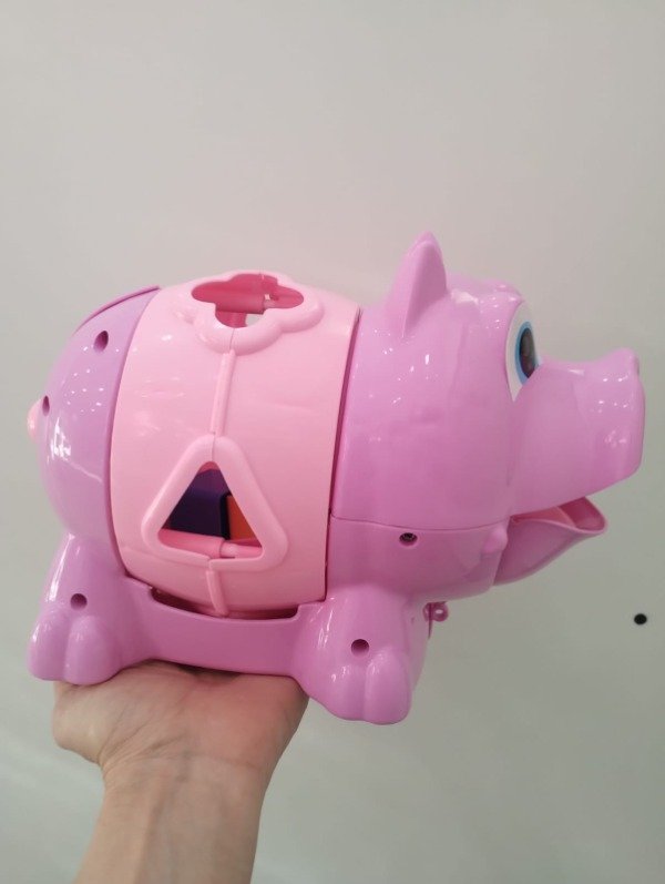 Producto - CHANCHO DIDÁCTICO RIVA