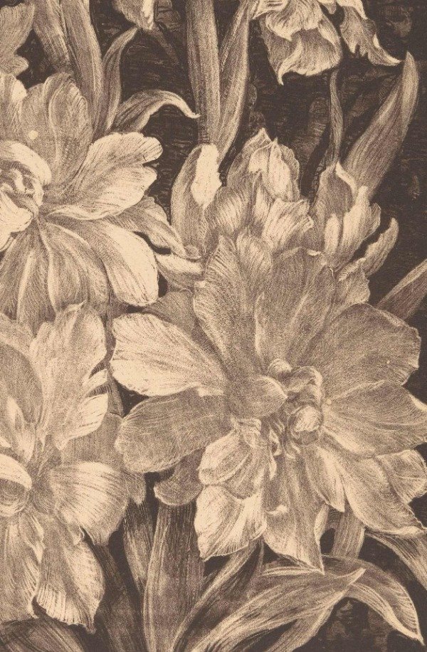 Miniatura de producto - 9