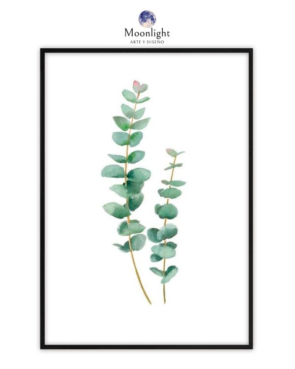 Producto - 18 - Planta Minimalista