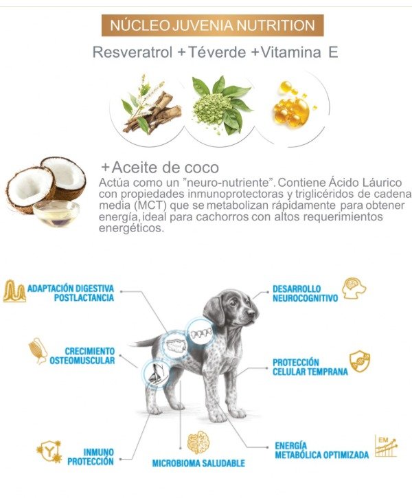 Producto - Juvenia Perro Puppy Médium y Large 7,5 Kg - 1