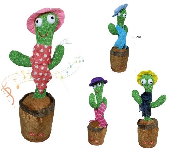Producto - CACTUS CON ACCESORIOS