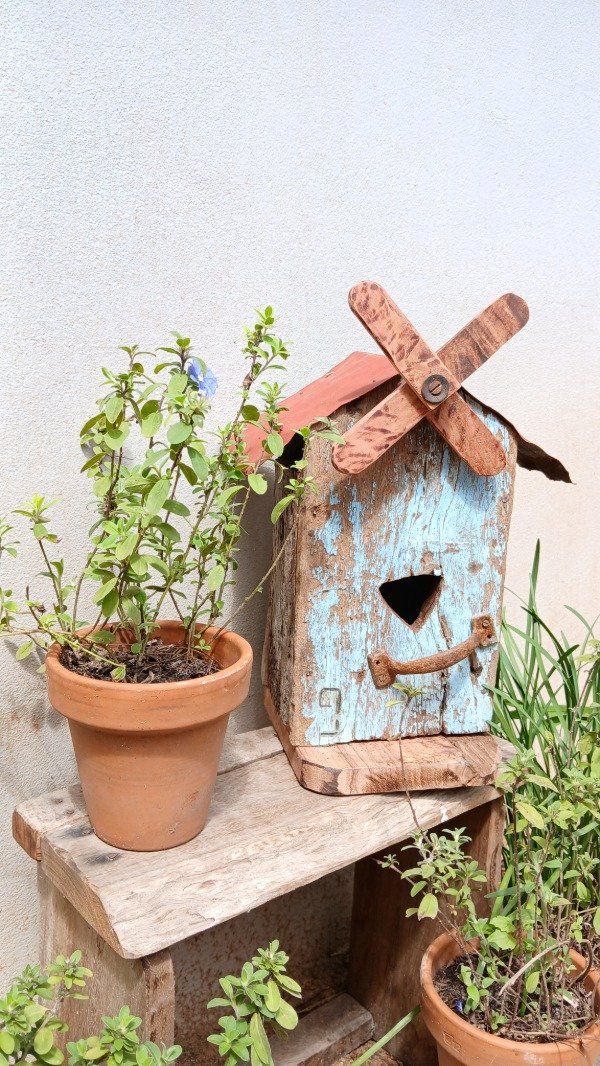 Producto - Casita nido aves molino ( CRG OO1)