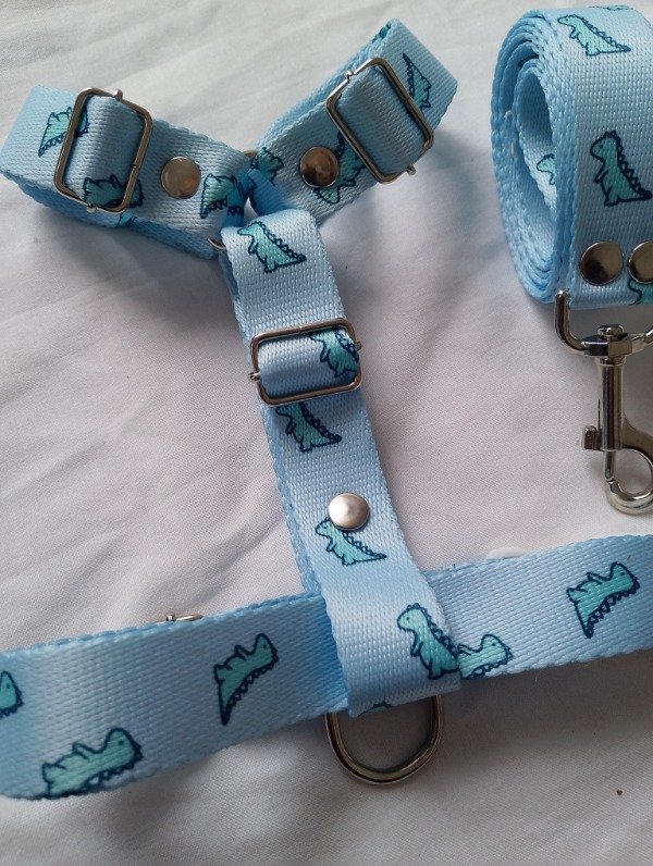 Producto - Conjunto Dino Baby Blue - 1