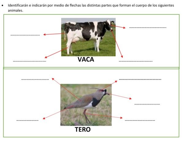 Producto - SERES VIVOS PROVINCIA DE BUENOS AIRES - 1