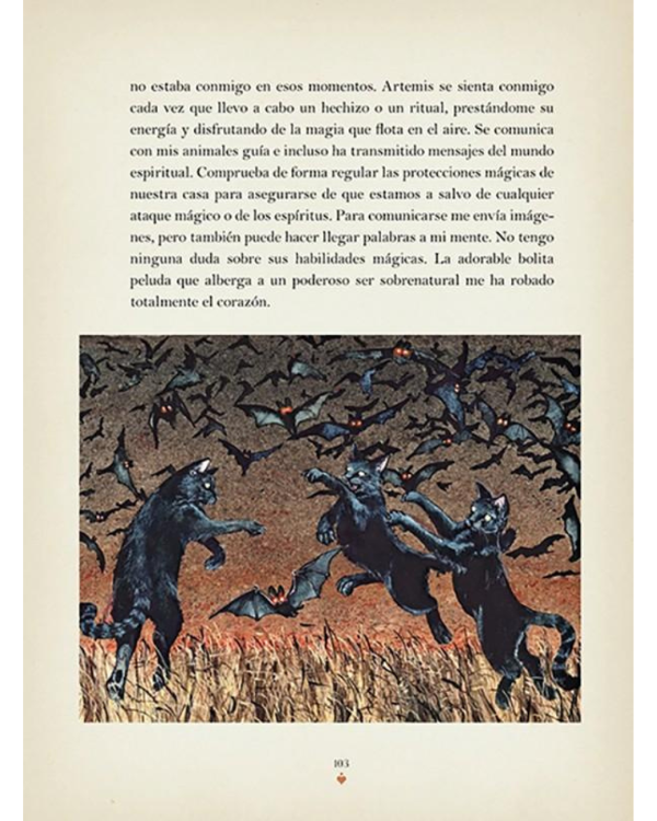 Miniatura de producto - 8