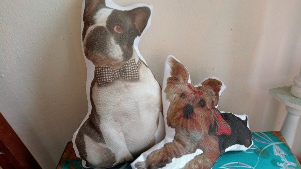 Producto - Almohadón mascota