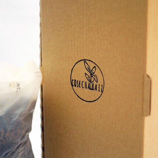 Producto - Kit de huerta sustentable - 1