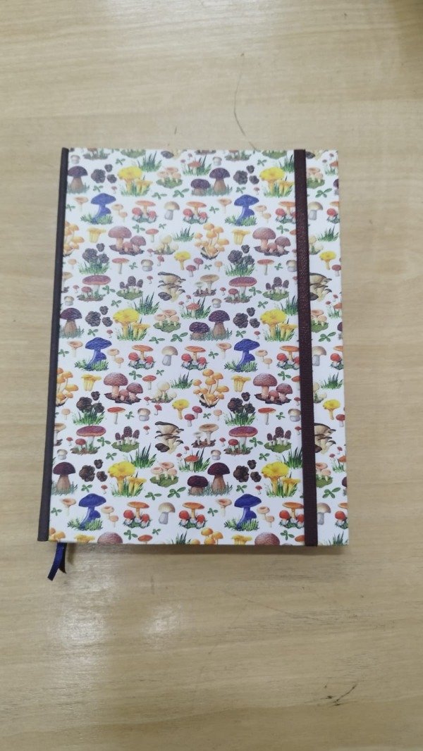 Producto - Cuadeno Honguis