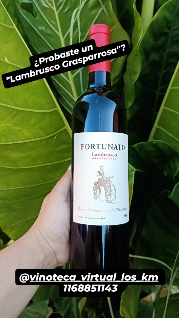 Producto - Fortunato