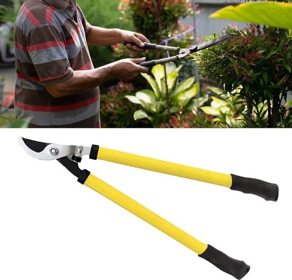 Producto - Tijera de poda telescópica con yunque 65cm 900920