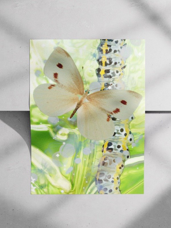 Producto - Print METAMORPHOSIS
