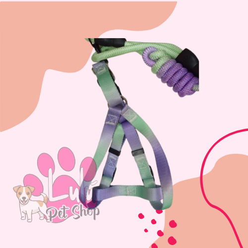 Producto - CONJUNTOS ARNES NACAR