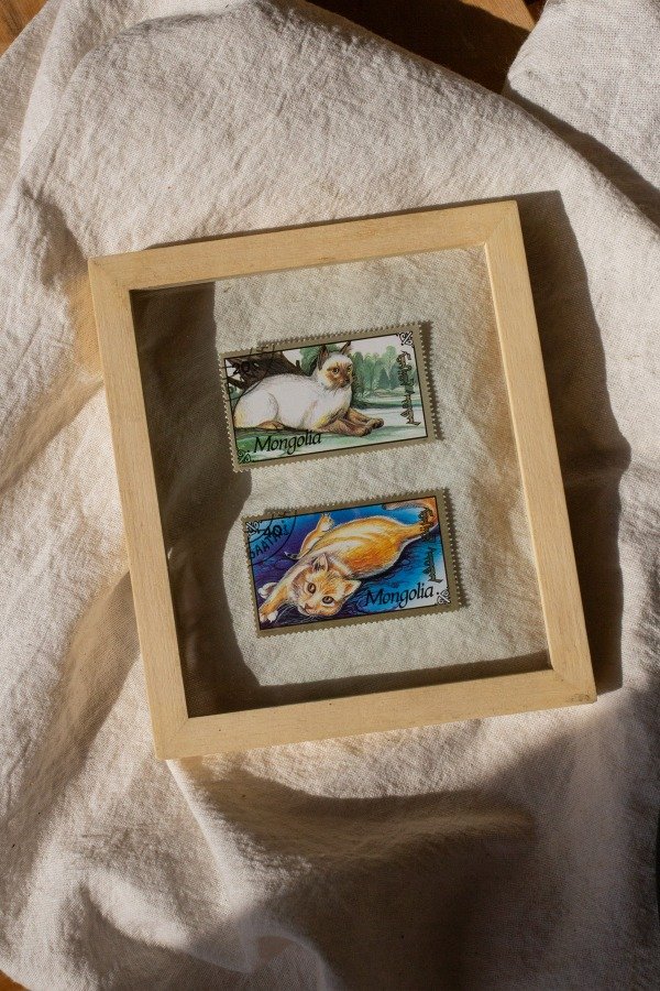 Producto - Estampillas Gatitos III