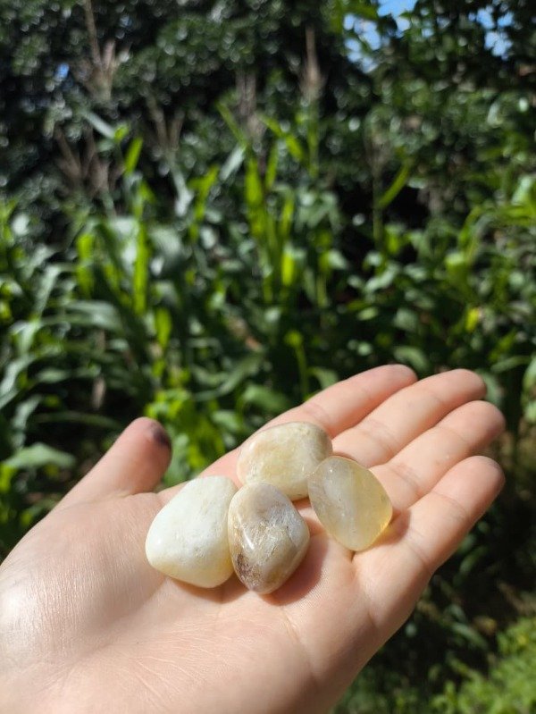 Producto - Citrino - Geminis