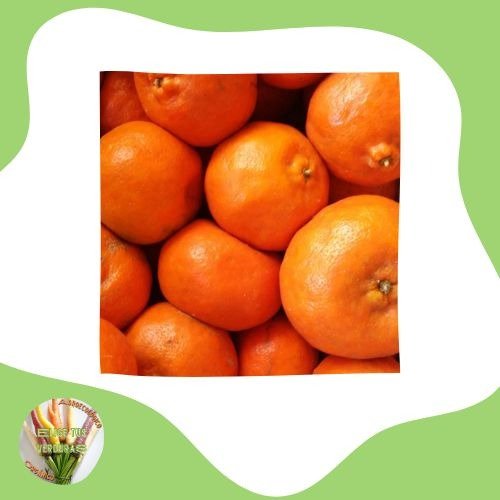 Producto - Mandarina - 1kg
