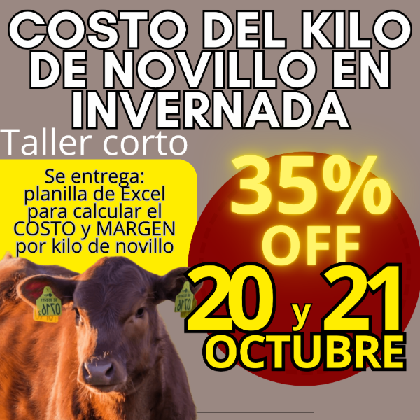 Producto - Taller corto: cálculo del costo del kilo de novillo - 0