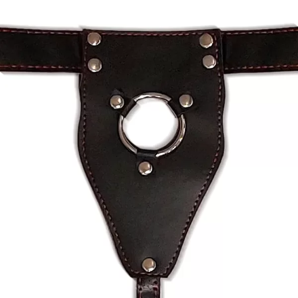 Producto - Arnés Grande Ajustable