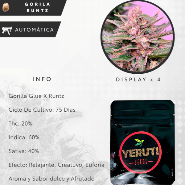 Producto - SEMILLA YERUTI GORILA RUNTZ
