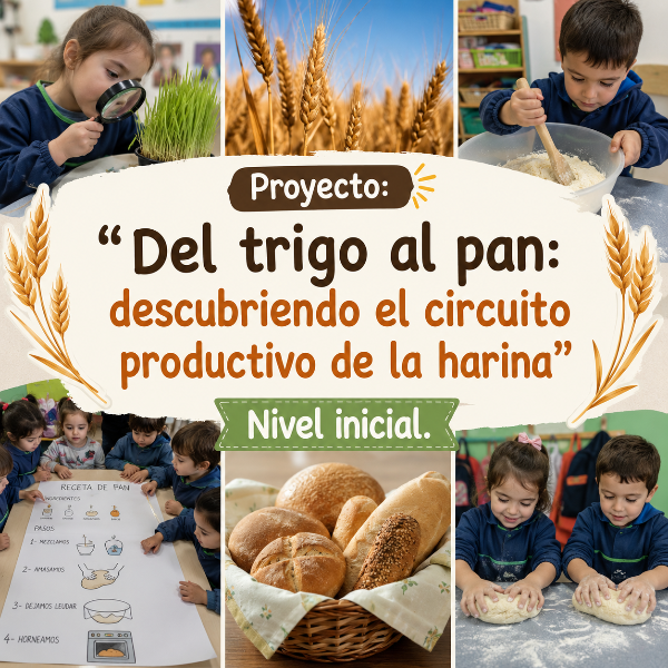 Producto - Proyecto: Del trigo al pan: descubrimos el circuito productivo de la harina
