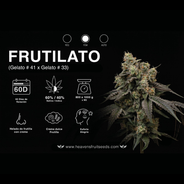 Producto - HEAVENS FRUIT FRUTILATO