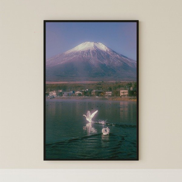 Producto - Fujisan