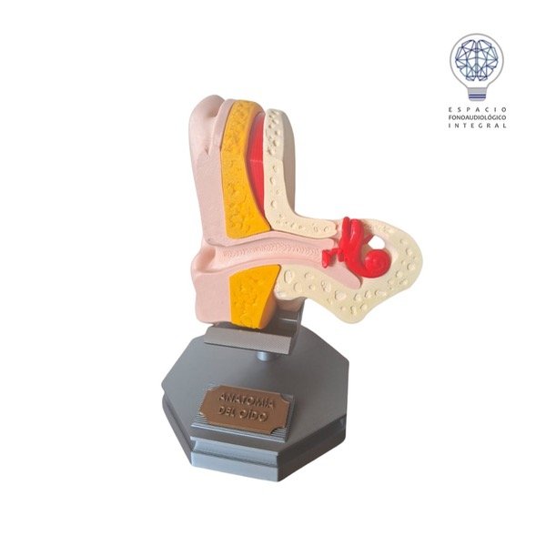 Producto - Modelo OIDO