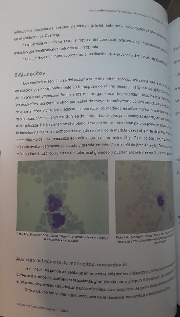 Producto - Arauz: Atlas de Hematología Veterinaria - 8