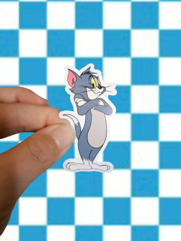 Producto - Stickers vinilo Tom Santo