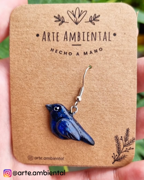 Producto - Aritos de Tordo Renegrido