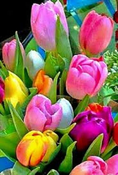Producto - DIAMOND PAINTING 40X50 HI STONE TULIPANES DE COLORES