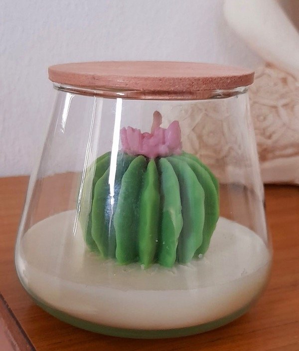Producto - Volcan cactus