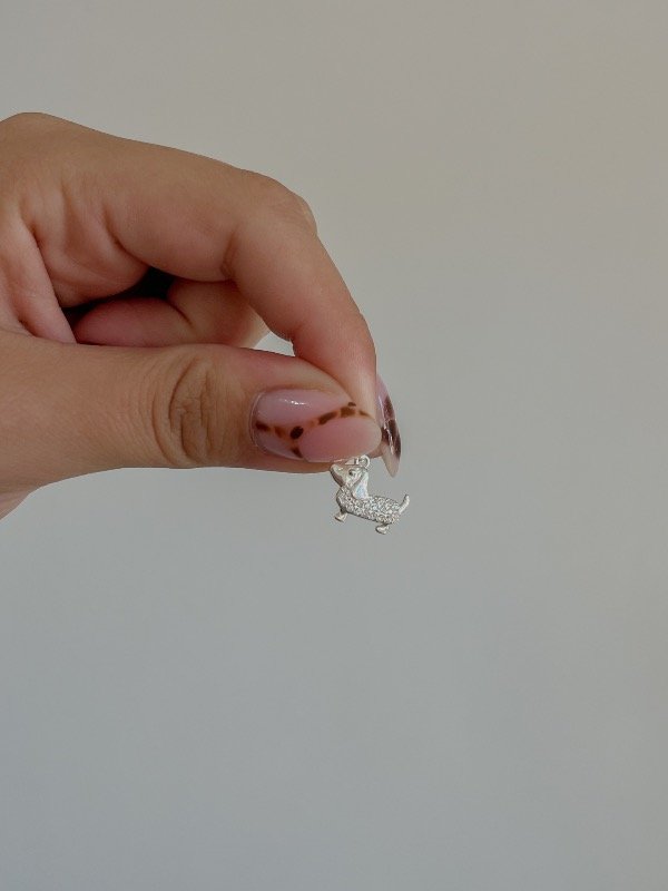 Producto - Dije salchi con mircropave