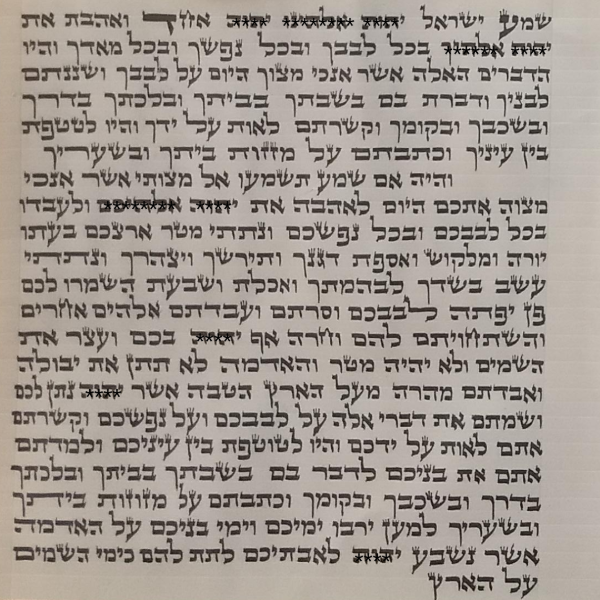 Pergamino (Klaf) Mezuzá 7 cm. Kol Judaica