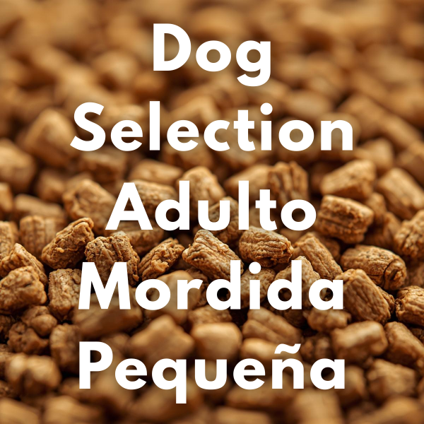 Producto - Dog Selection Adulto Mordida Pequeña (Granel)