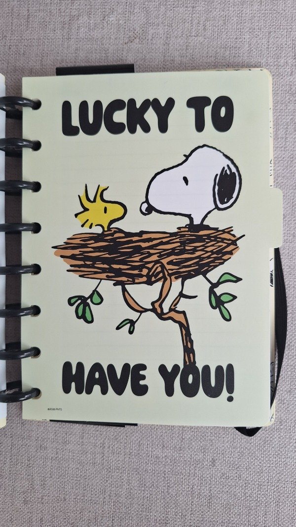 Producto - Cuaderno Snoopy con sistema discos - 3