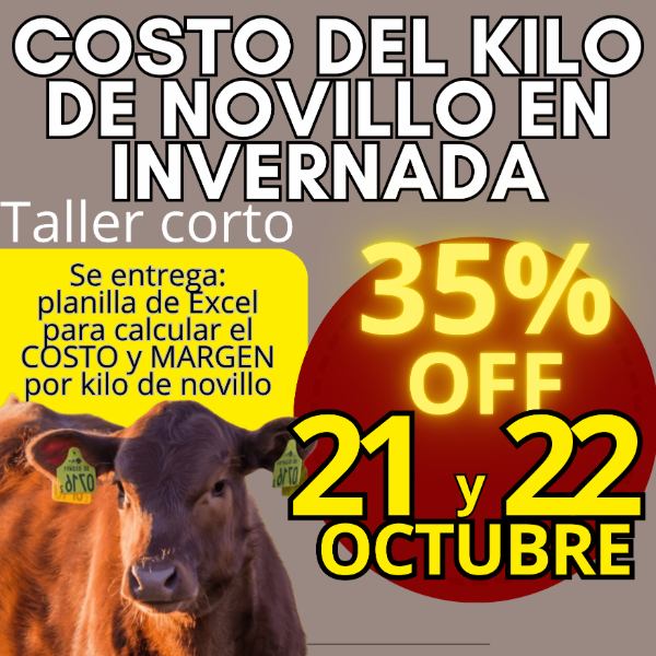 Producto - Taller corto: cálculo del costo del kilo de novillo - 0