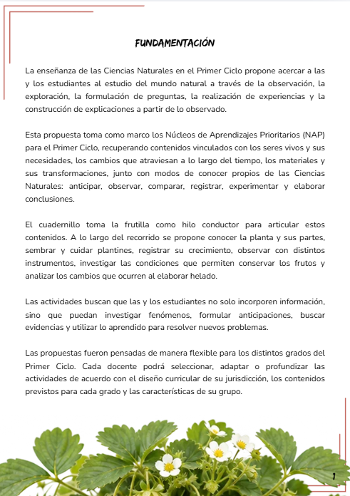 Producto - DE LA PLANTA AL HELADO - PRIMER CICLO - 1