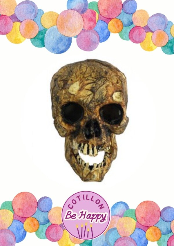 Producto - CALAVERA DE LA ANTIGÜEDAD