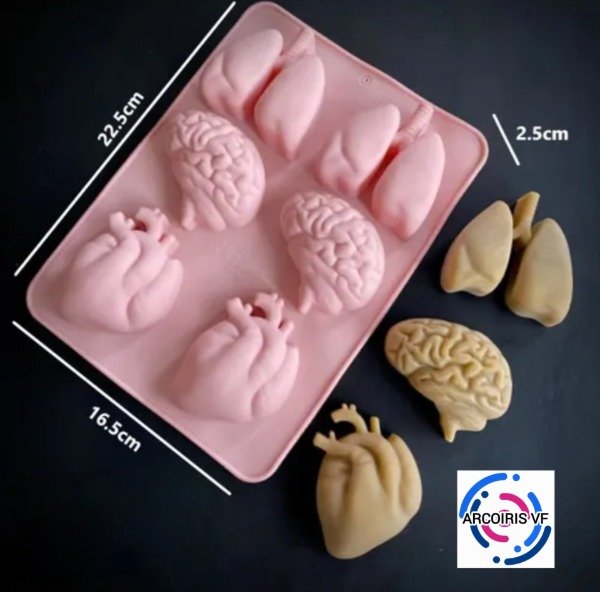 Producto - Molde pulmón Corazón cerebro