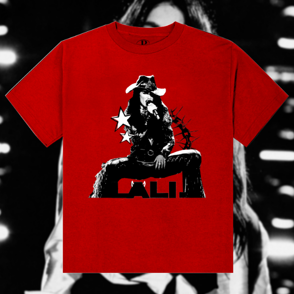 Producto - Remeron fanatico velez