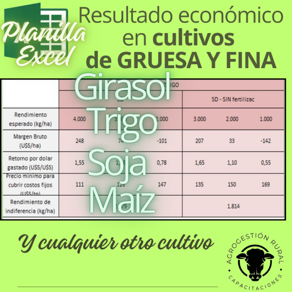 Producto - Planilla Excel de resultado económico en cultivos de GRUESA Y FINA