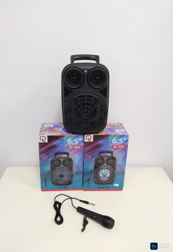 Producto - Parlante portátil 6.5 pulgadas con micrófono - 1