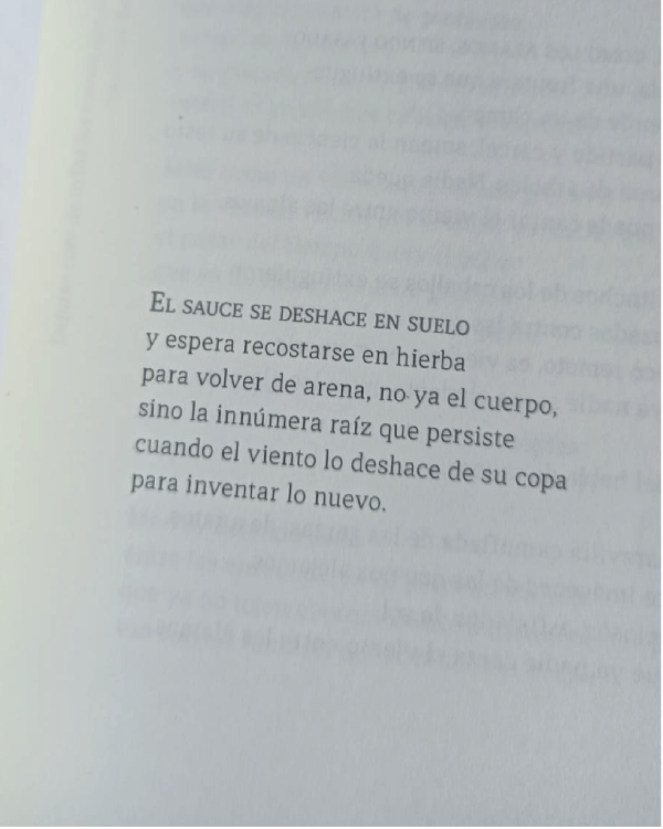 Producto - Éxodo Cero - II - Alambres - 7
