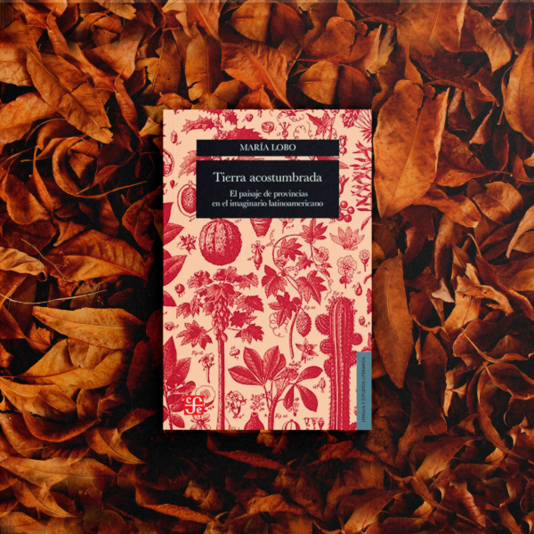 Producto - Tierra acostumbrada - María Lobo