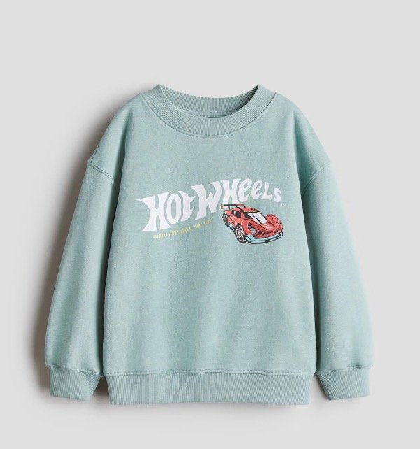 Producto - Buzo Hotwheels hym