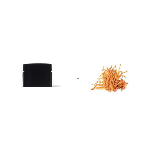 Producto - MASCARILLA DE ALGAS EN GEL + HONGO CORDYCEPS
