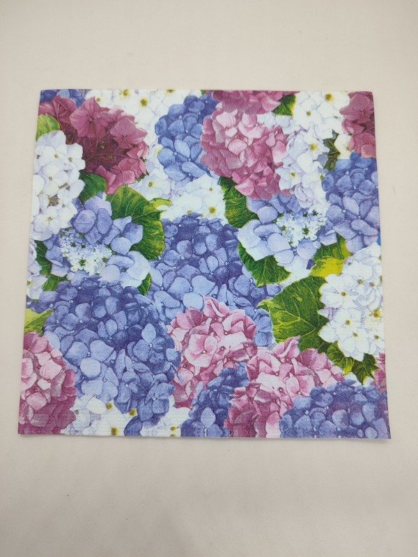 Producto - Ortensie