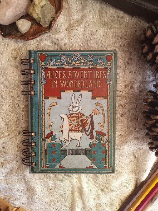 Producto - Alicia A6