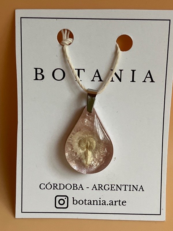 Producto - Semilla 3