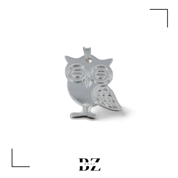 Producto - DIJES DE ACERO BLANCO GRANDES X PCS VARIOS MODELOS - 1326-16